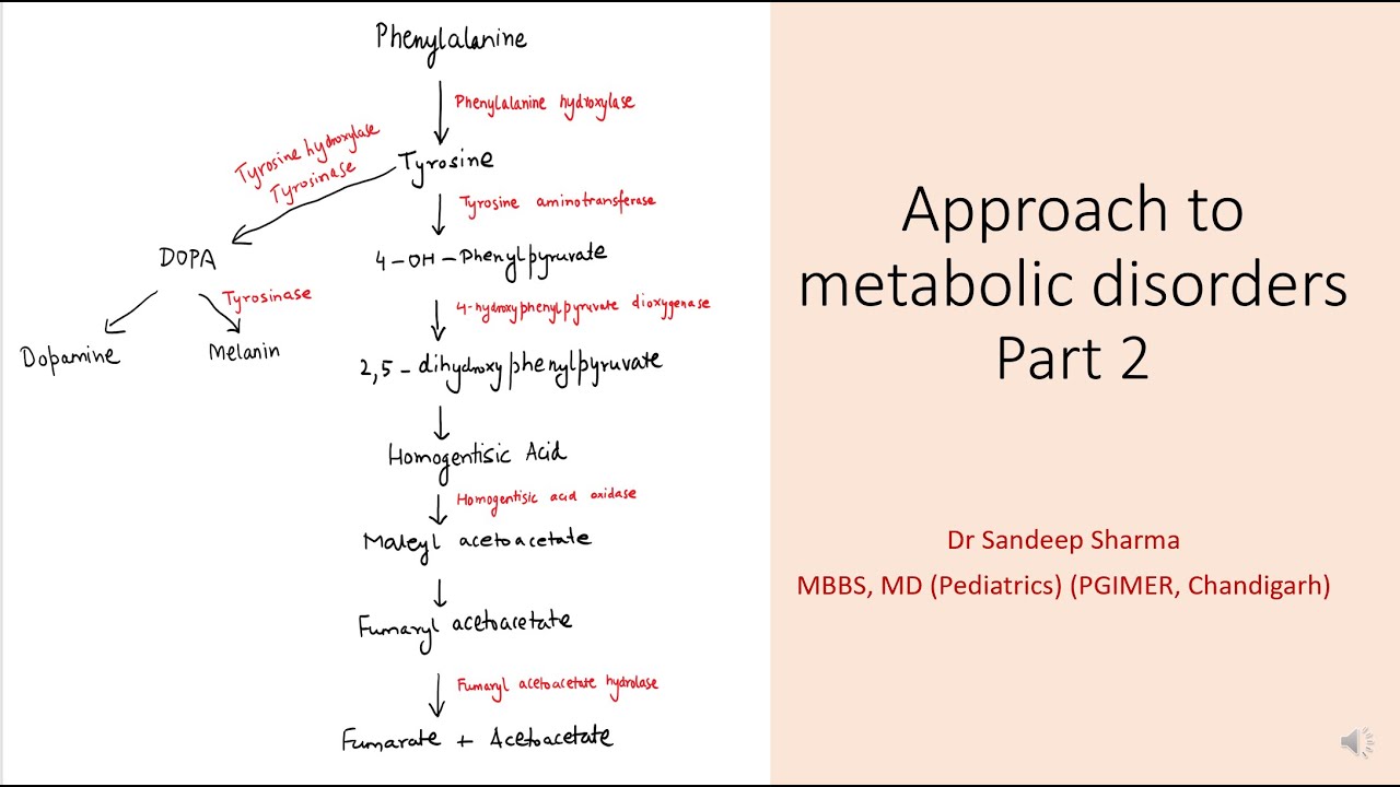 Approach to metabolic disorders Part 2