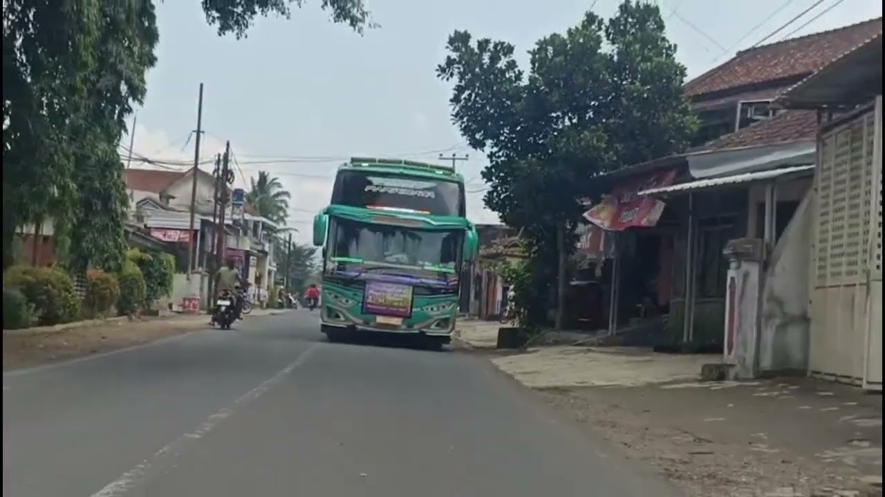 NGOYOD BUS PELITA BARU JURAGAN ENOM 24 NOT++