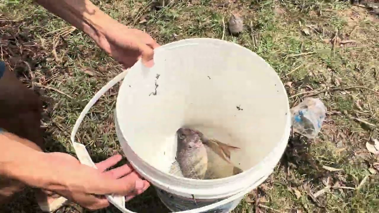 នេសាទ​ត្រី​ទៀត​ហេីយ​ /Fishing in weekend at rural life 