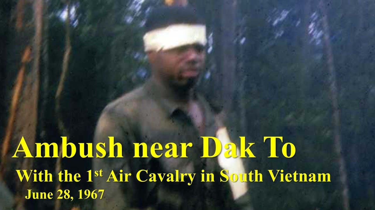 Ambush Near Dak To: With the 1st Air Cavalry in South Vietnam (June 28, 1967)