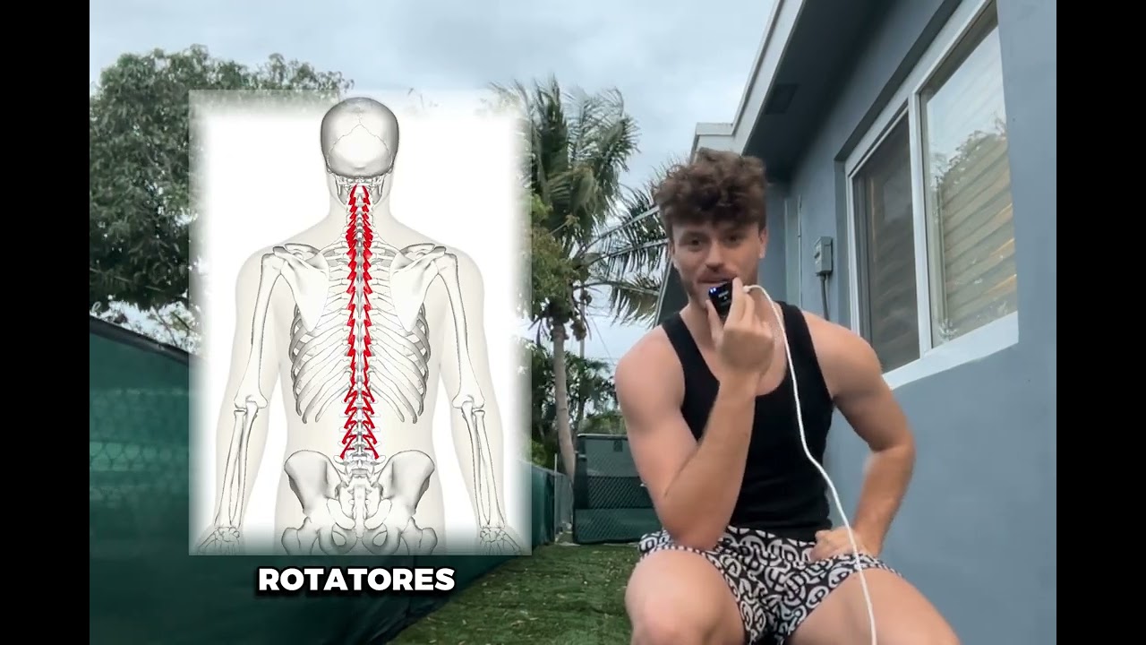 How to Train the Low Back Muscles
