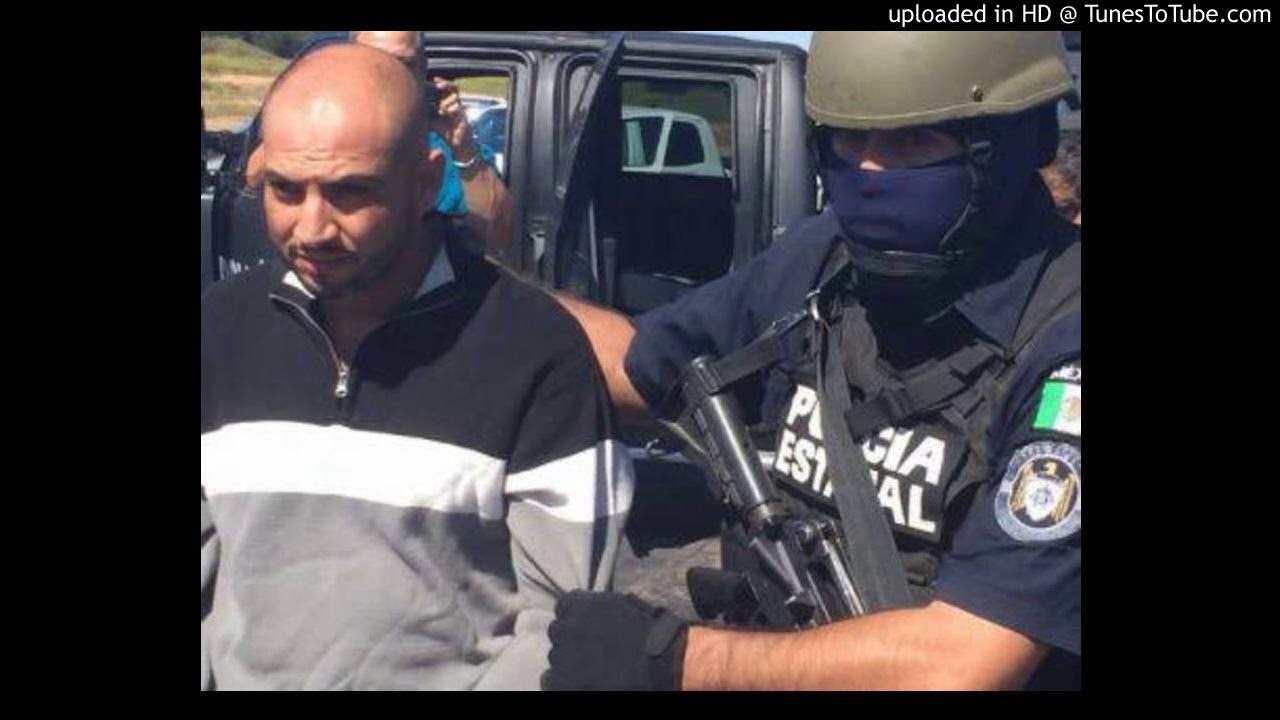 La Captura De La Rana🐸(RV15) - Legado Imperial CORRIDOS 2024