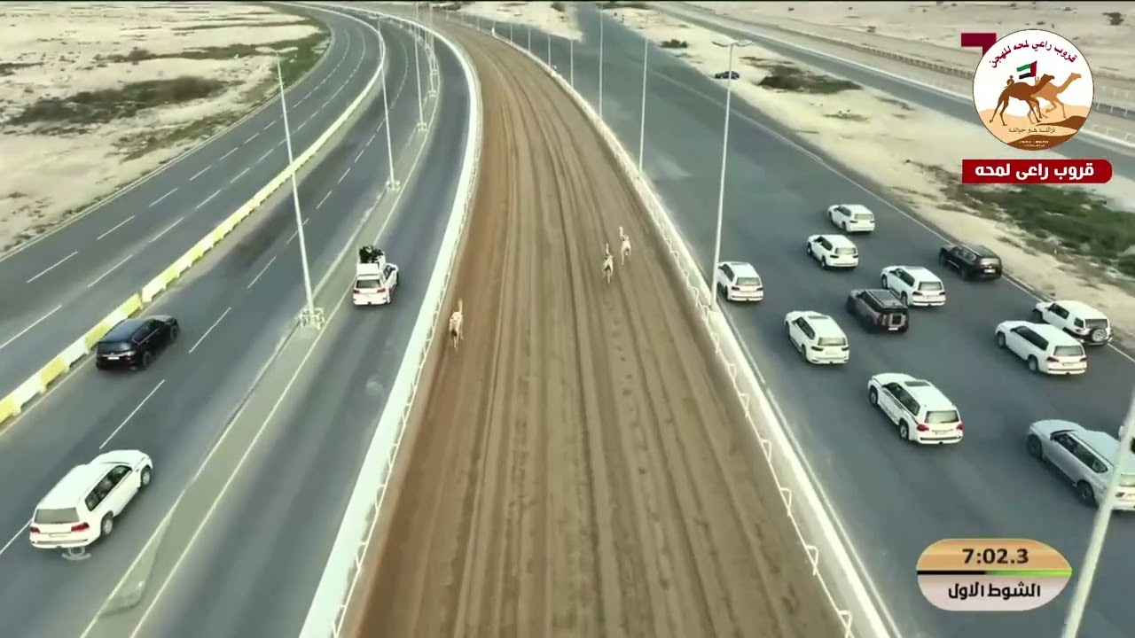 الشوط 1 ..  سلام لـ عبدالله ناصر حفيظ الحفيظ المري  12:22:54(*مهرجان الامير الوالد 2026* )