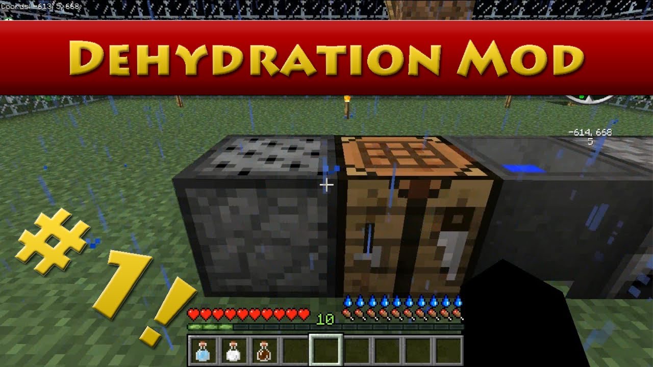 Minecraft Mod Review #1 - Dehydration Mod (HD)