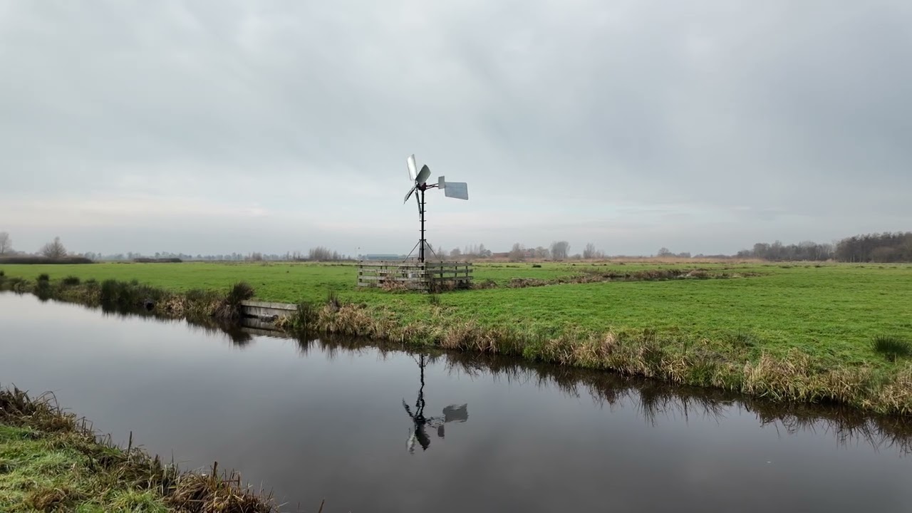 Wandelen door de polder, Zaanse Rietveld