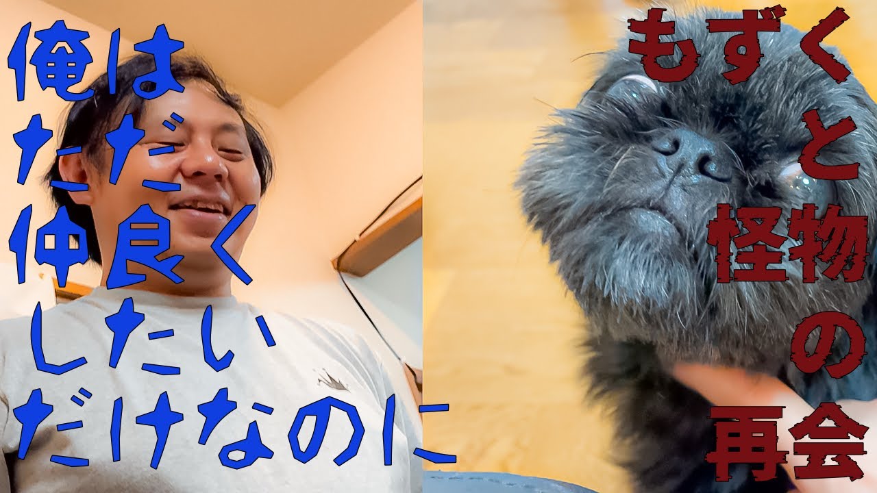 もずくと益田の再会