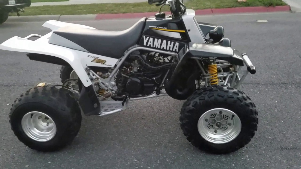 2002 stock banshee