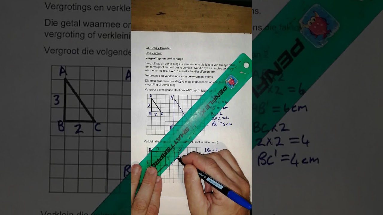 Gr7 Vergroting en verkleining