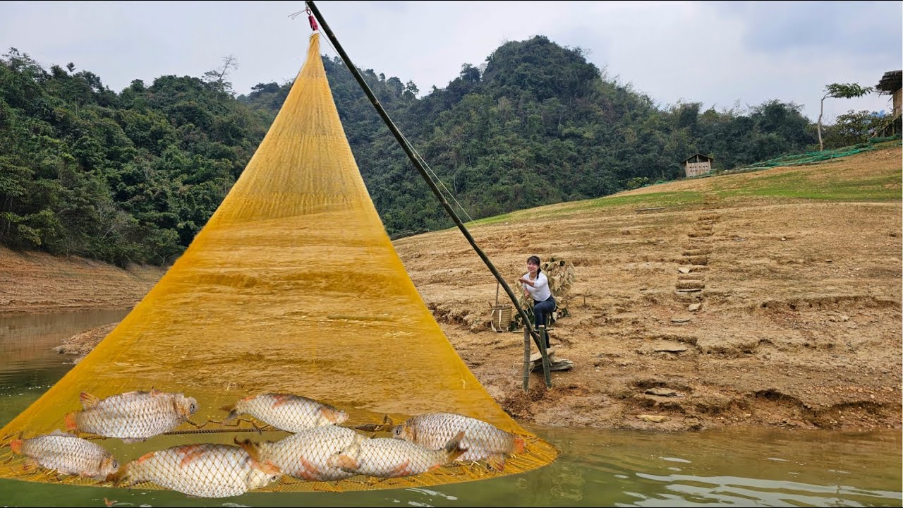 30 Day Journey of Catching Fish and Selling It to Earn Extra Income - phungthithu