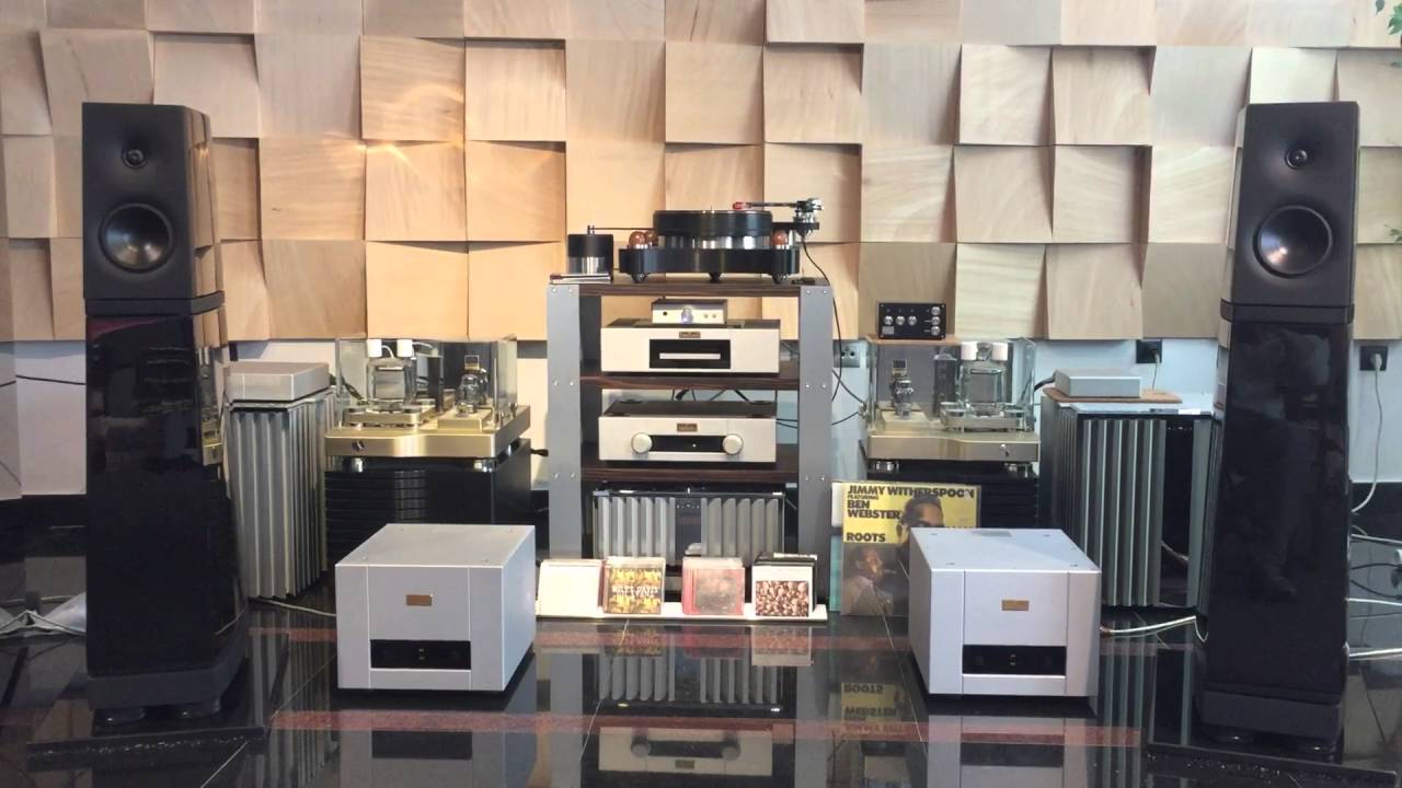 Verity Audio Parsifal AE , Goldmund Telos 600 , tw raven ac