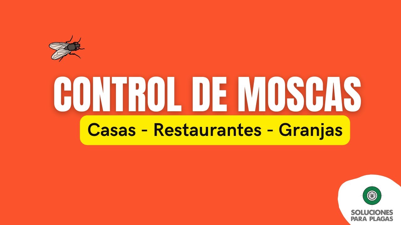 Control de Moscas en casas, restaurantes, granjas,  Productos Urbanos Allister