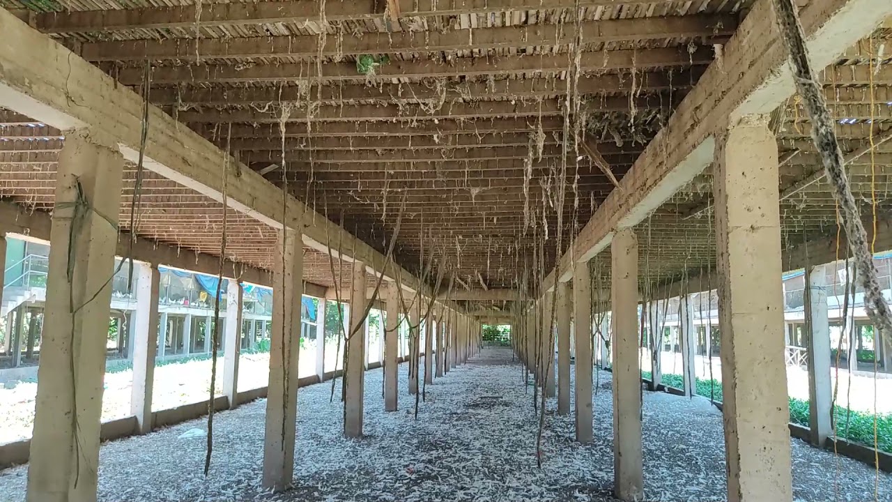 pag control ng langaw sa farm