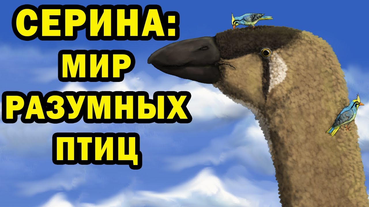 Серина - мир птиц | Ч.1| Спекулятивная биология