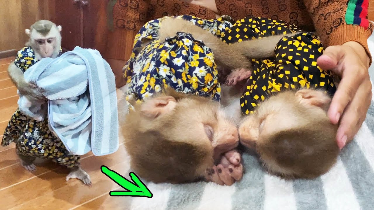 Preci0us Judee Sleepy Time, She Nicely SIeep With Jaila