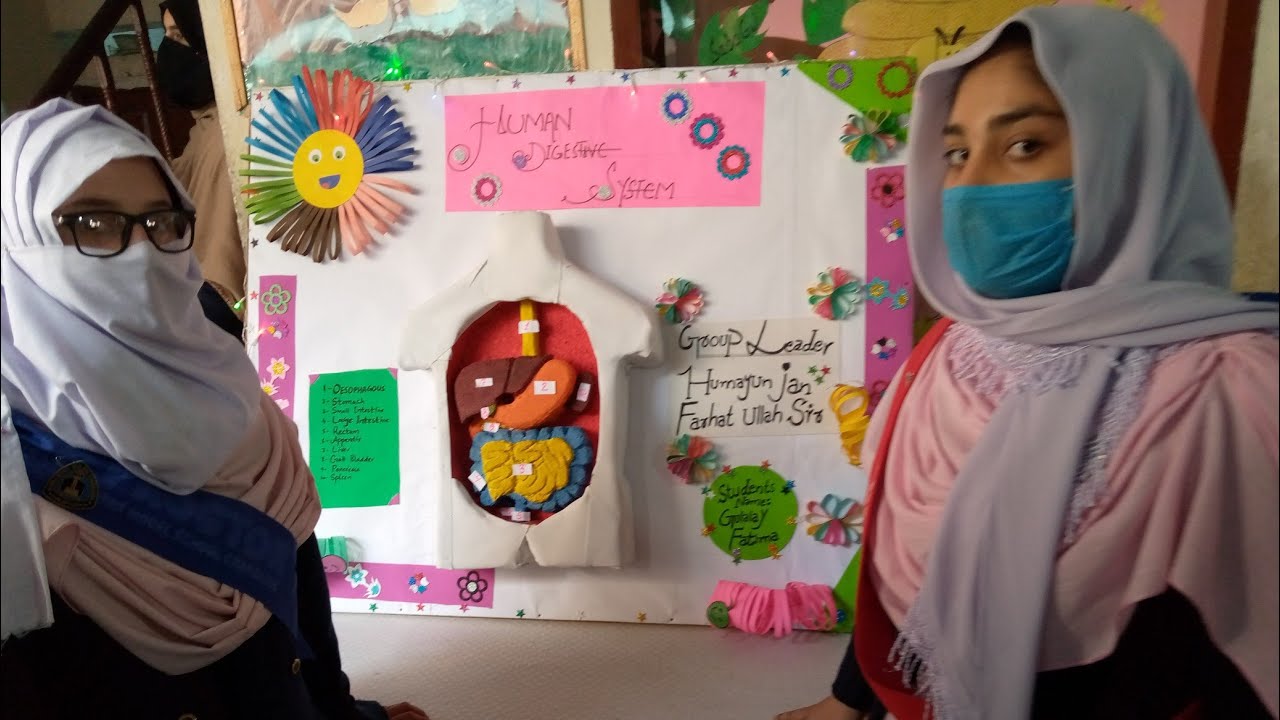 Hira model  school charsadda