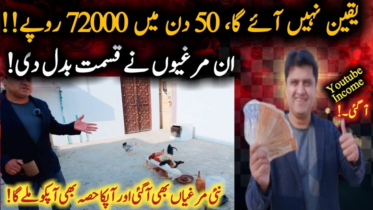 Purchase new hens from market from youtube income! || Youtube income revealed!