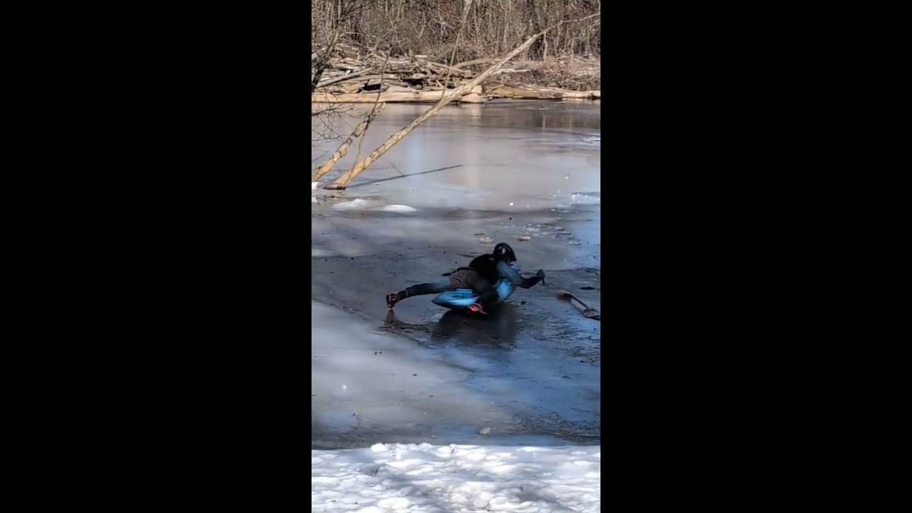 Ice Struggle and Strainer Control Feb 1st 2026