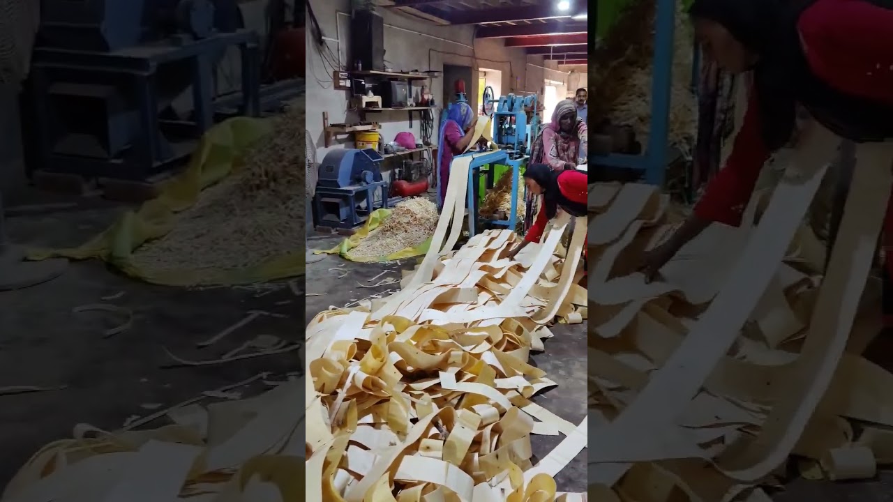 How Ice cream sticks are made? #Factory #icecream #how