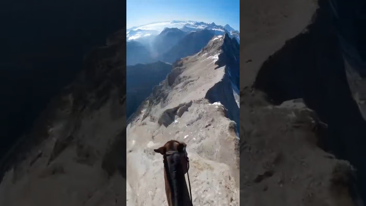 The Most Dangerous Mountain Path Ever!