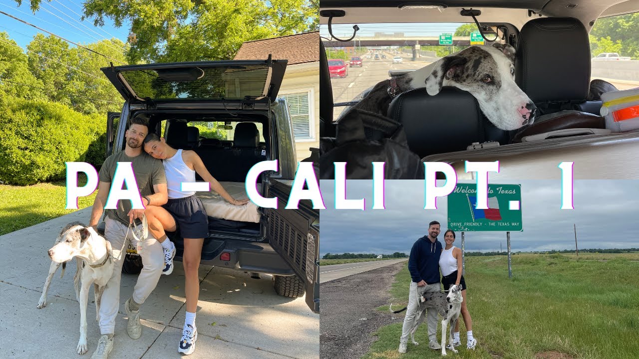 PA to CA, How to Pack, Car Snacks, Bringing Our Great Dane Puppy!