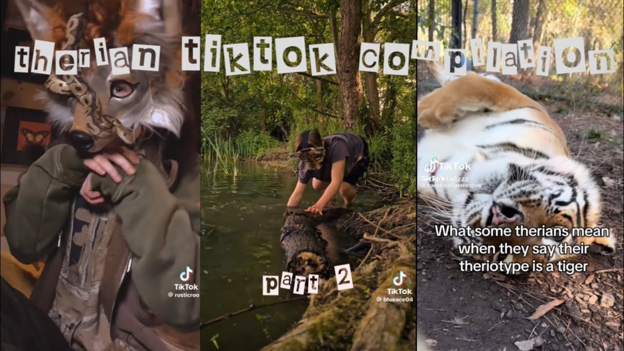 Therian TikTok Compilation (Part 2)
