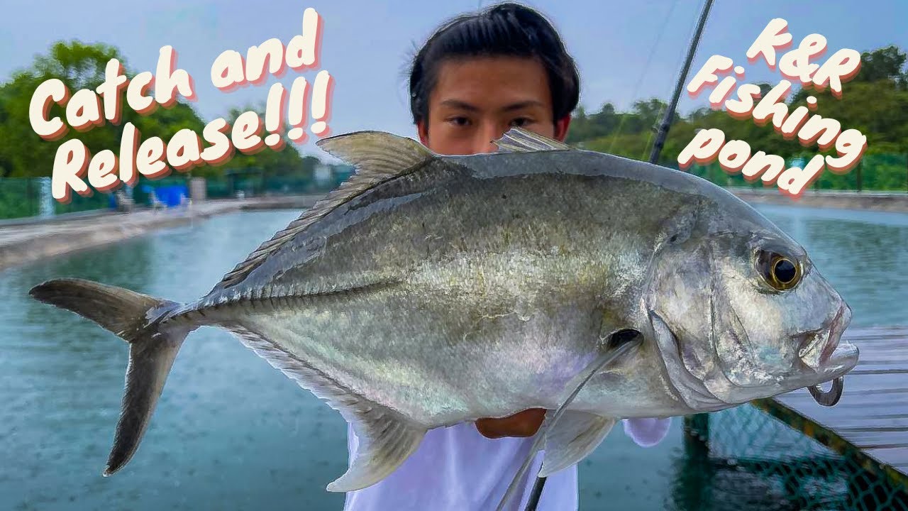 K&R Fishing Pond | Catch and Release Pond | Malaysia Fishing