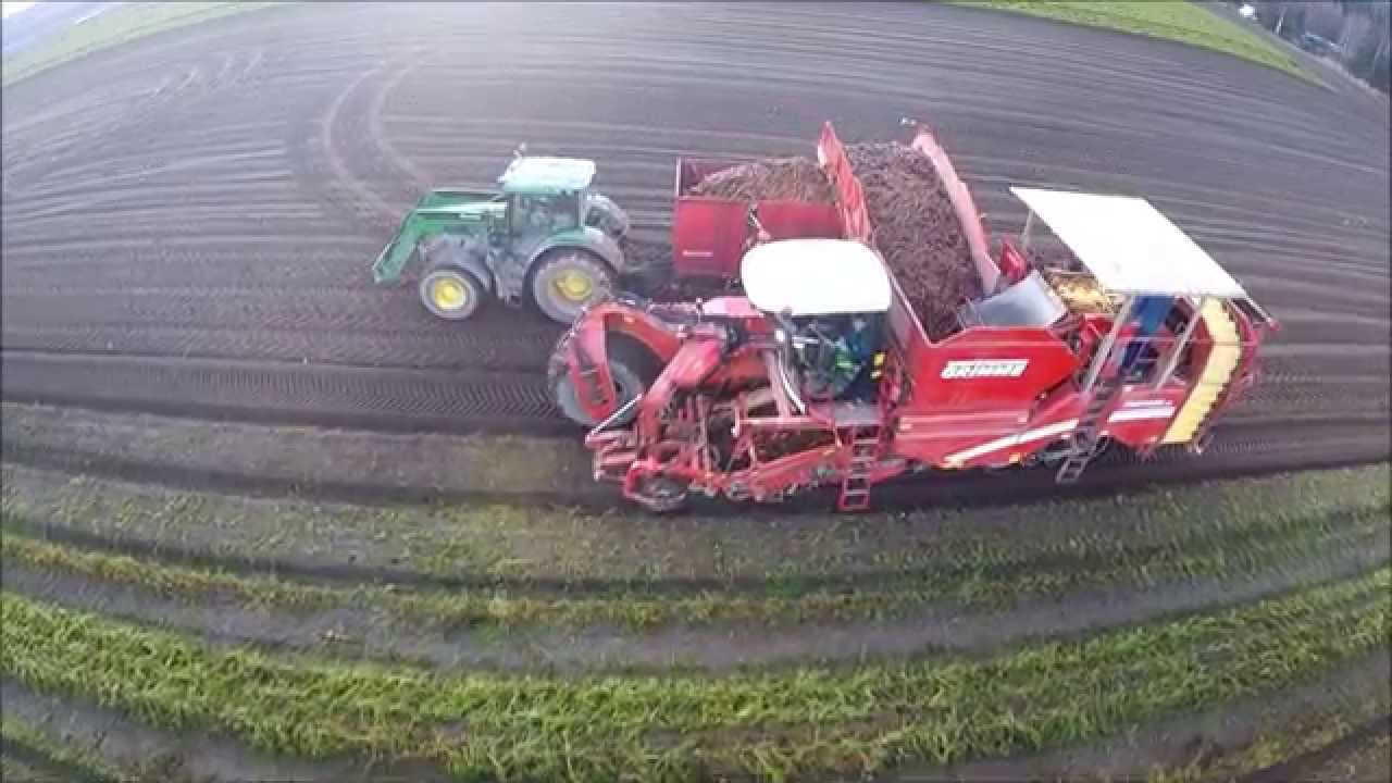 Grimme varitron 270 harvesting carrots in Norway