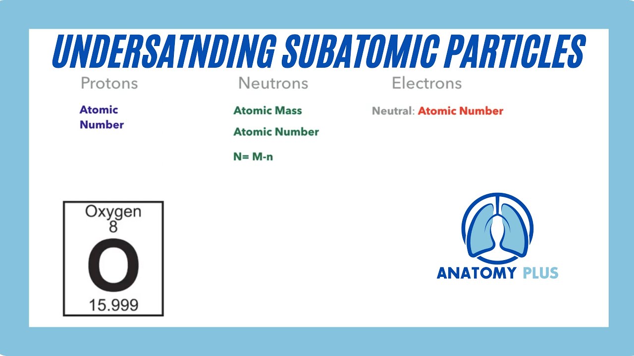 Subatomic Particles