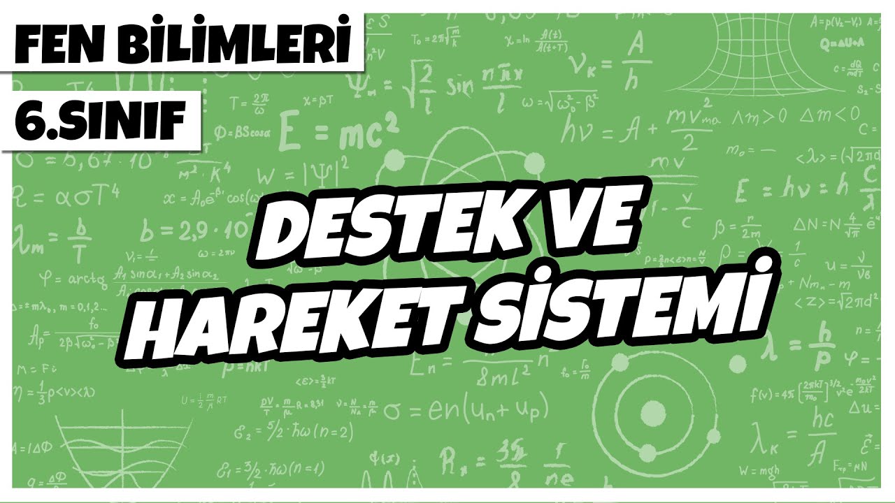 6. Sınıf Fen Bilimleri - Destek ve Hareket Sistemi | 2022
