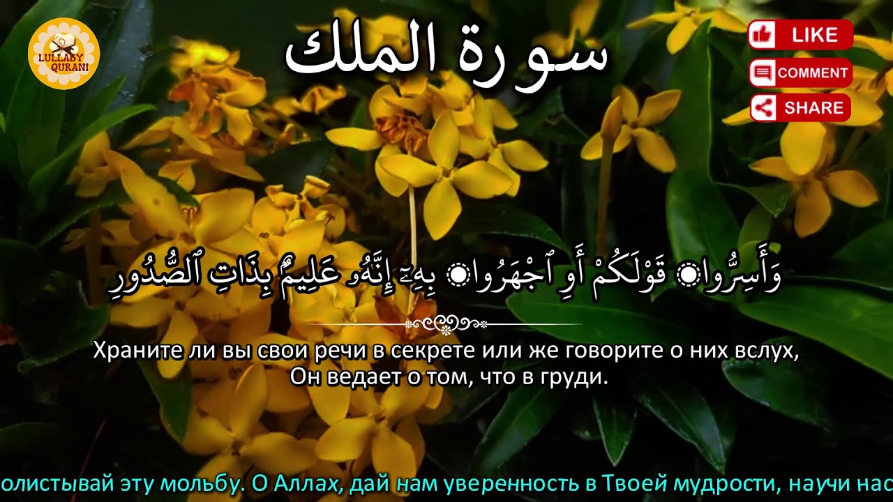 💜 Дуа В ВОСКРЕСЕНЬЕ Очень сложные проблемы будут решены #дуа