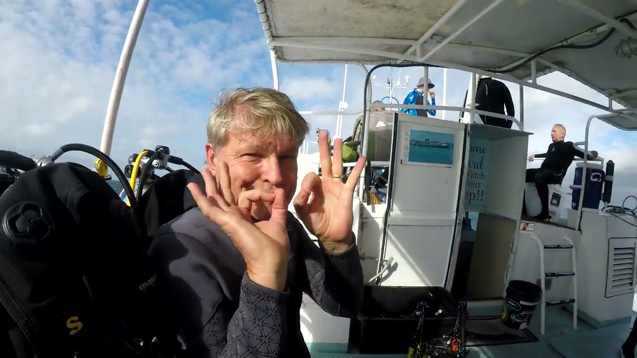 Diving shipwrecks - Beaufort, NC - 2025