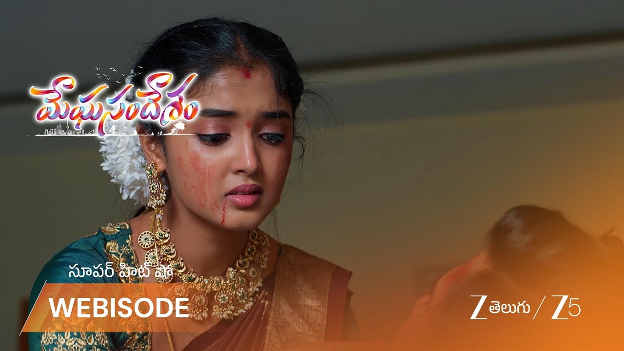 MEGHASANDESAM | భూమి గాయపడిన గగన్ కి సపర్యలు చేసింది.