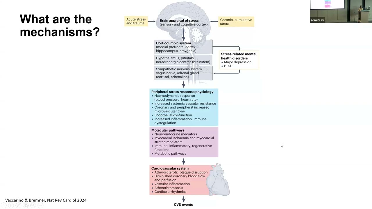 Stress Response Physiology and Coronary Heart Disease: From the Lab to Real Life
