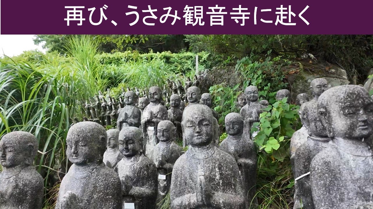 【vlog 散歩】再び、うさみ観音寺に赴く
