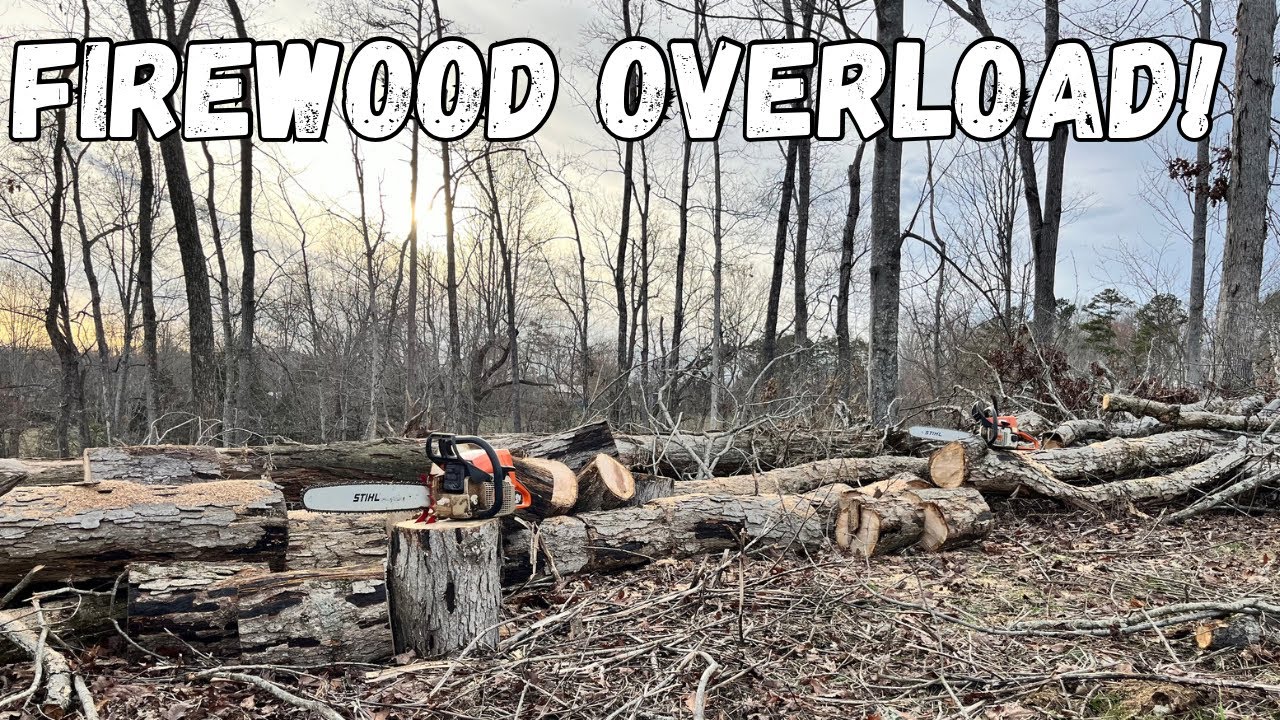 I May Have Hit The Firewood Jackpot?!? 🪵🎰