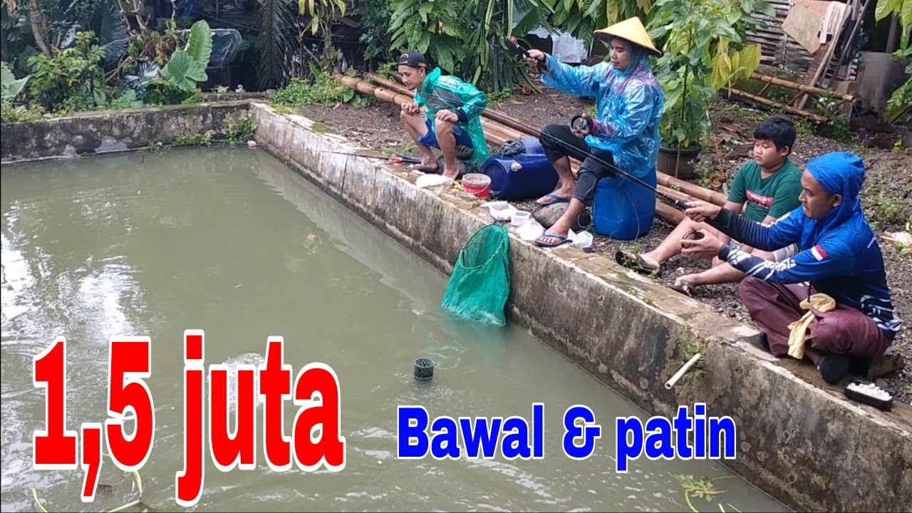 IKANYA GANAL GANAL ❗YAKIN GA PENGEN IKUTAN MANCING ❗❗