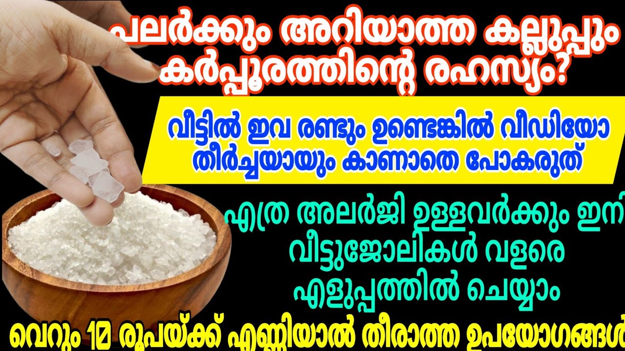 കല്ലുപ്പും കര്‍പ്പൂരവും വീട്ടിലുണ്ടെങ്കിൽ എത്ര അലർജി ഉള്ളവർക്കും വീട്ടുജോലികൾ എന്തെളുപ്പം #cleaning