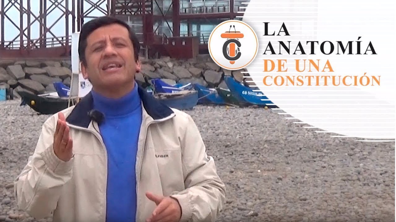 LA ESTRUCTURA DE UNA CONSTITUCIÓN - Tribuna Constitucional 70 - Guido Aguila Grados