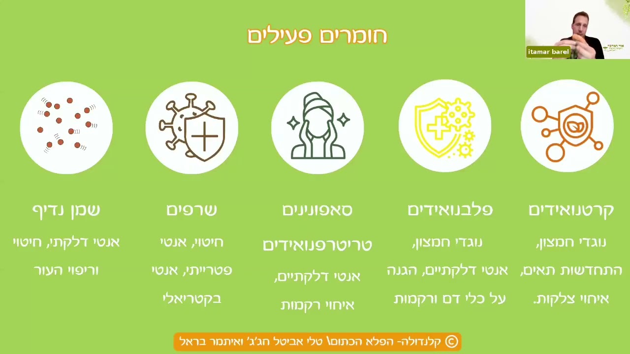 קלנדולה – צמח המרפא העדין והעוצמתי | וובינר רוקחות טבעית בחסות אור המדבר