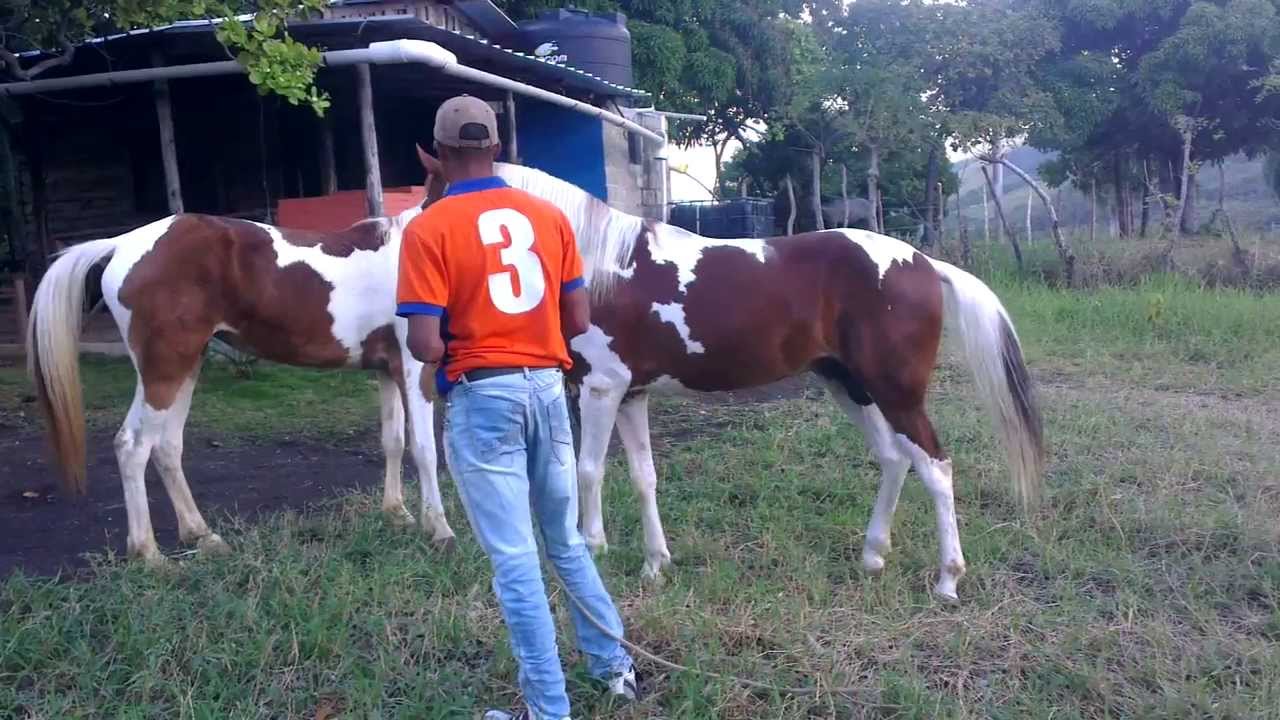 Apache enamorando a princesa