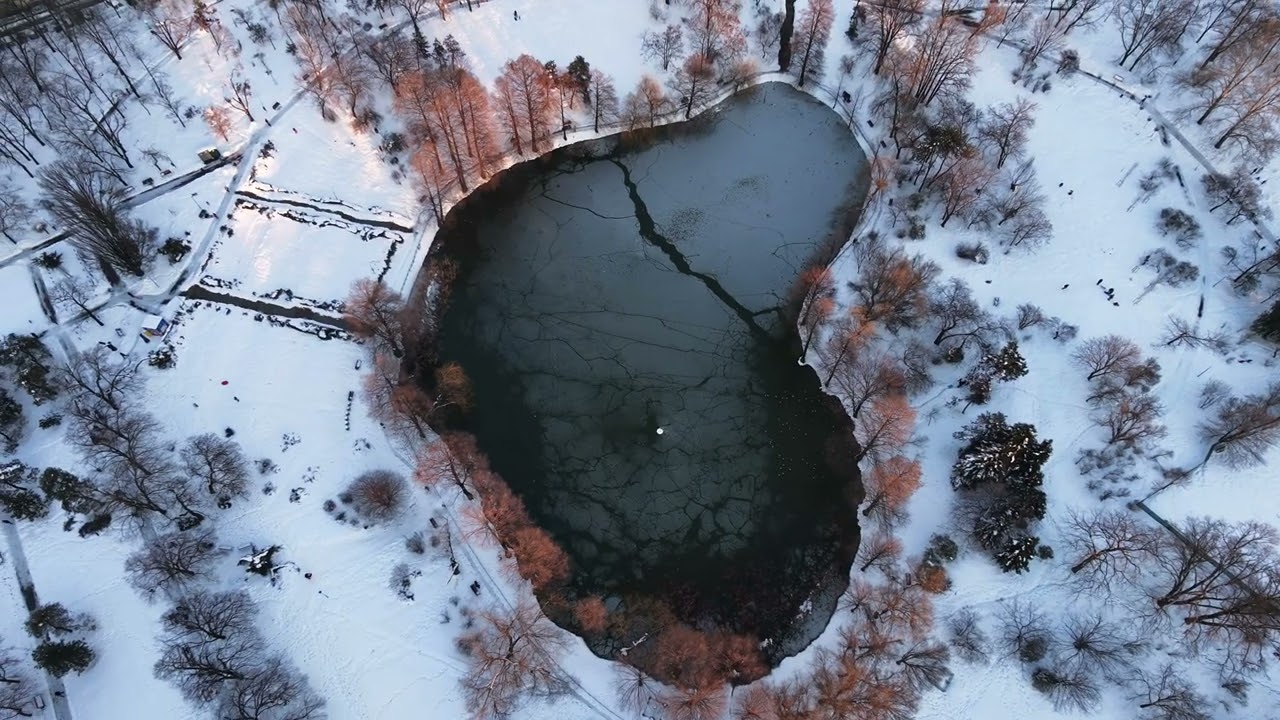 Parcul Circului de Stat | Bucuresti | 18.02.2026