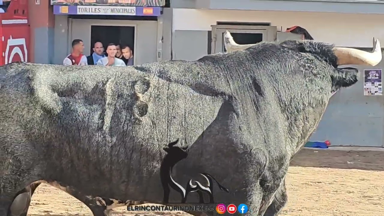 Miura, Torrestrella y las Ramblas en feria de onda 18 octubre 2025 