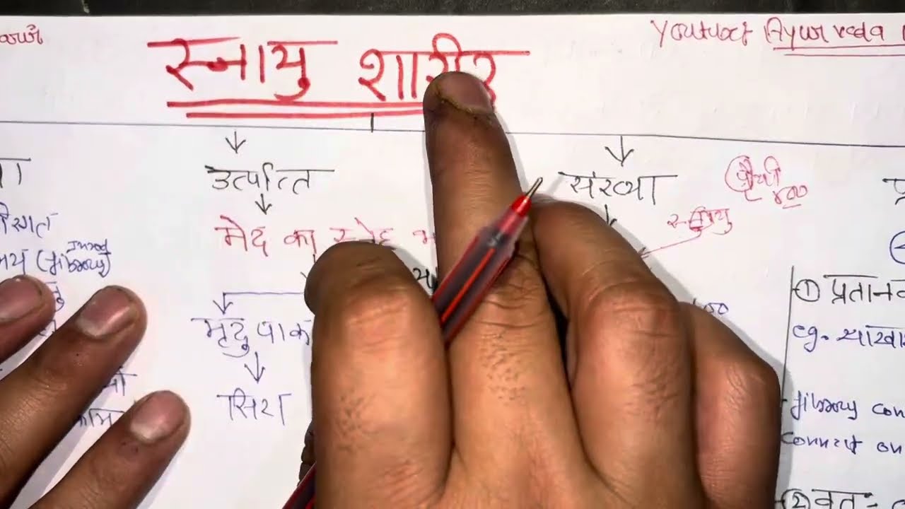 Snayu sharir bams 1st year | snayu sharir anatomy | rachna sharir | bams 1st year |#rachnasharir
