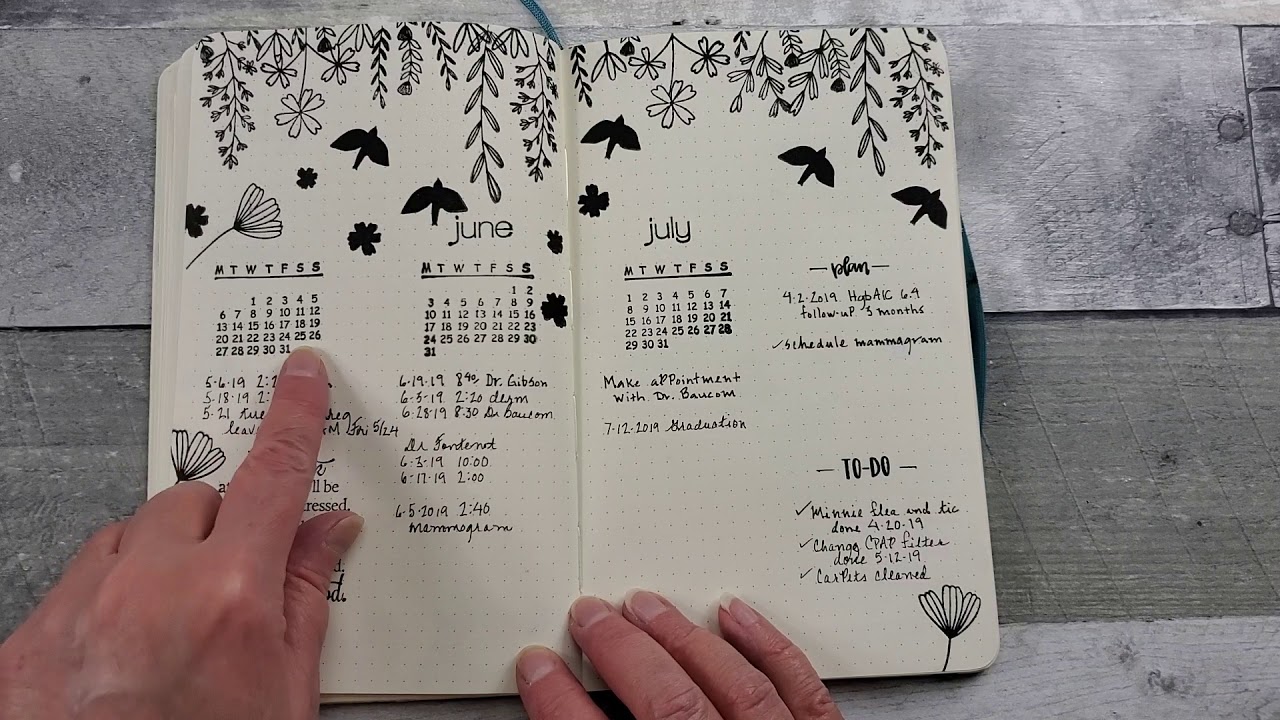 Bullet Journaling in a Moleskin