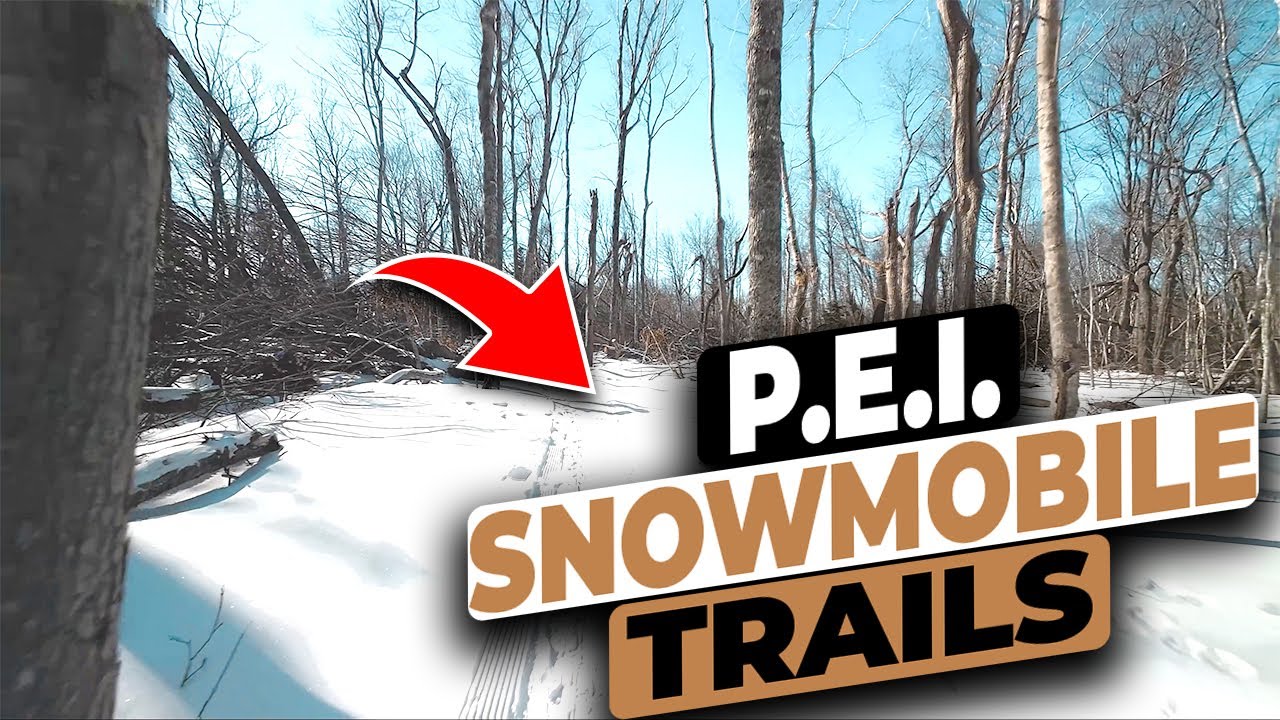 Thrilling ride through snowmobile trails in the woods of PEI