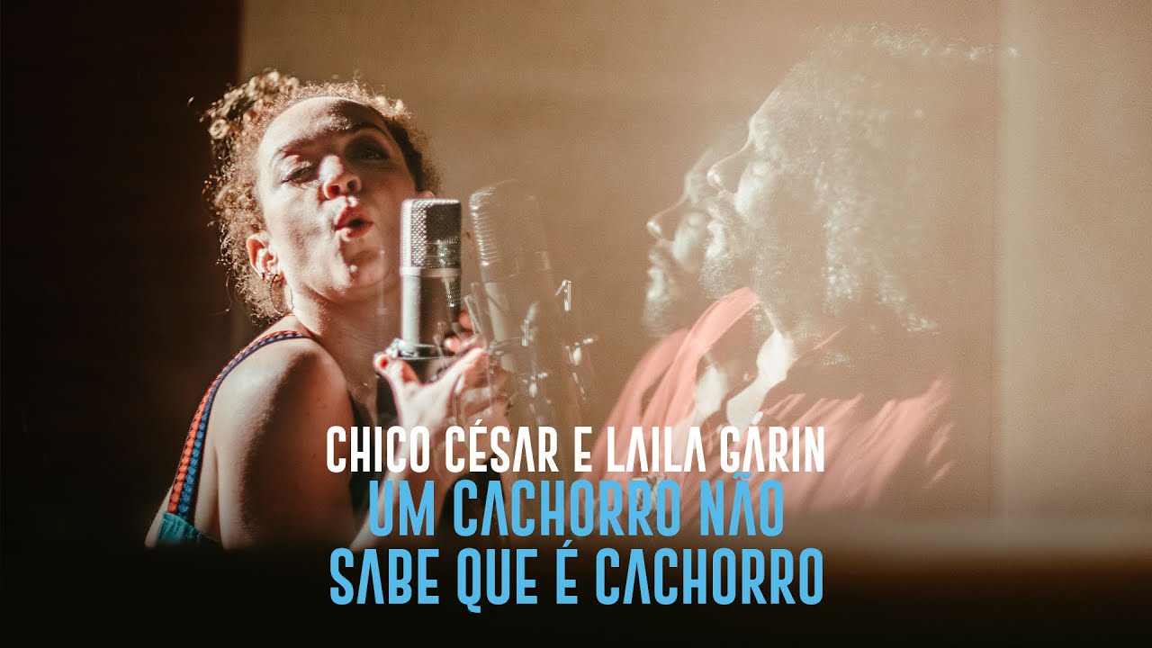CHICO CESAR e LAILA GARIN - Um cachorro n&atilde;o sabe que &eacute; cachorro [CLIPE OFICIAL]