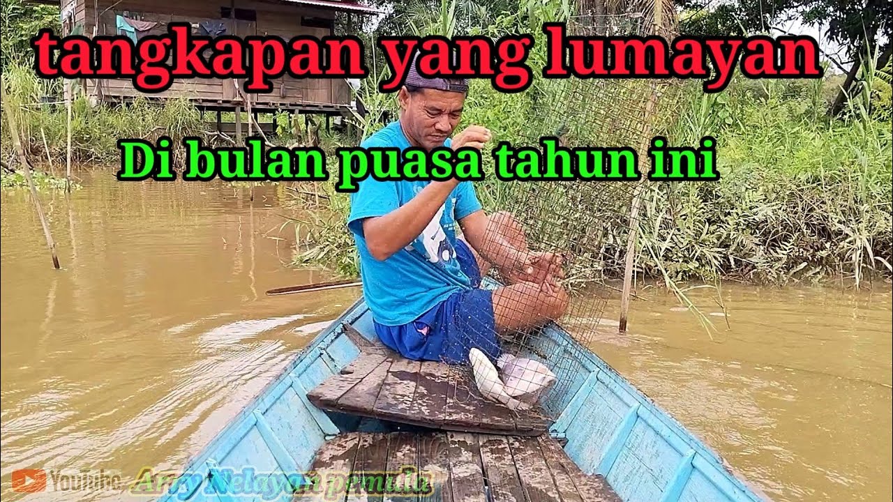 Hasil perangkap ikan nila liar di bulan puasa tahun ini 