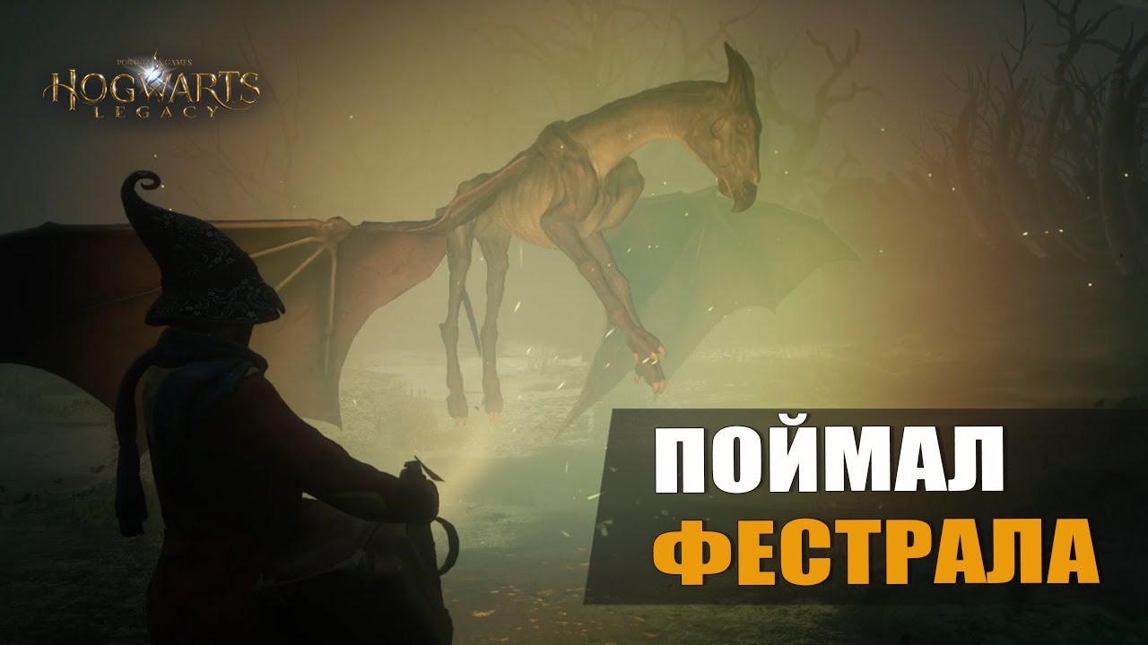 ПОЙМАЛ ФЕСТРАЛА — Hogwarts Legacy [#13]