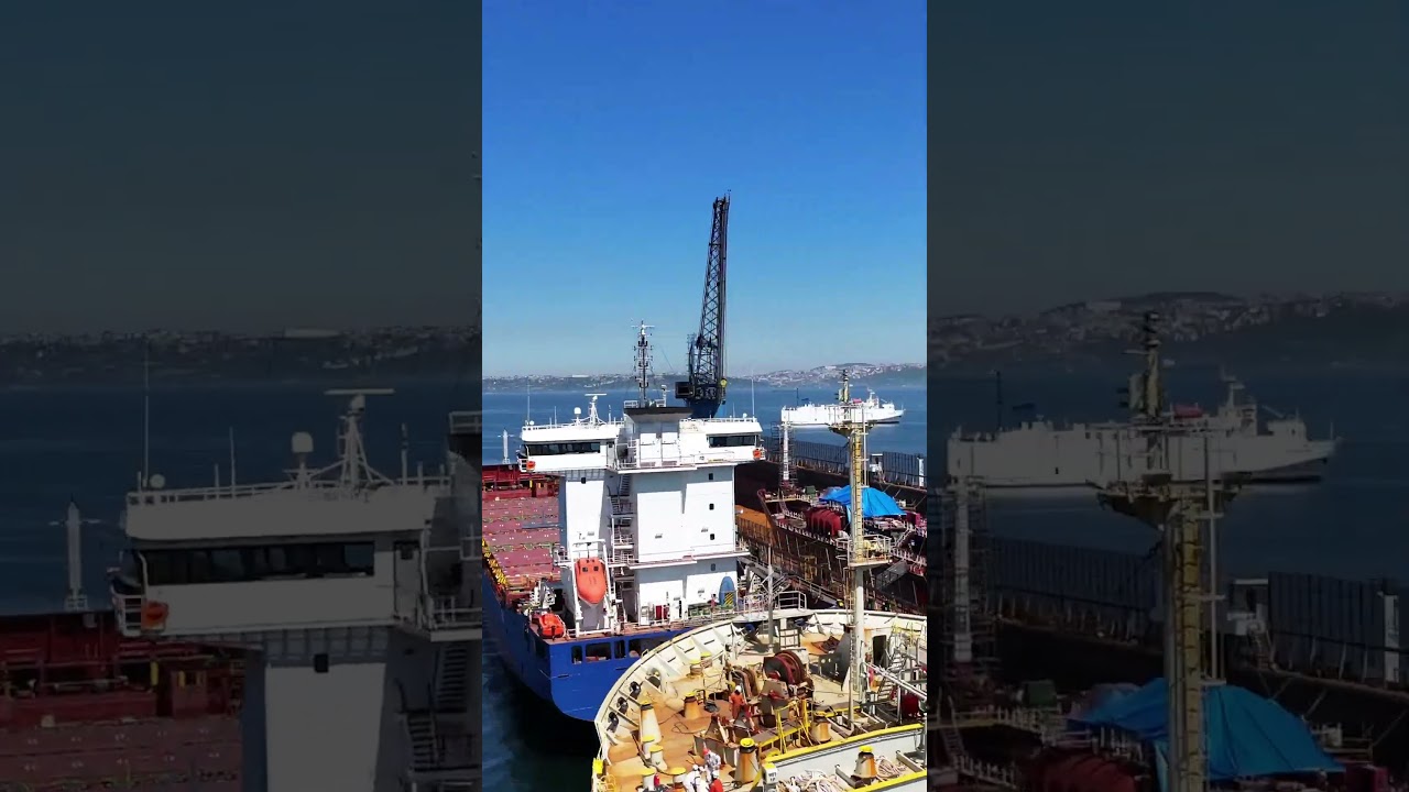 Operating at Full Capacity #ParkShipyard #shipyard #ShipRepair #DryDocking&nbsp;#Yalova