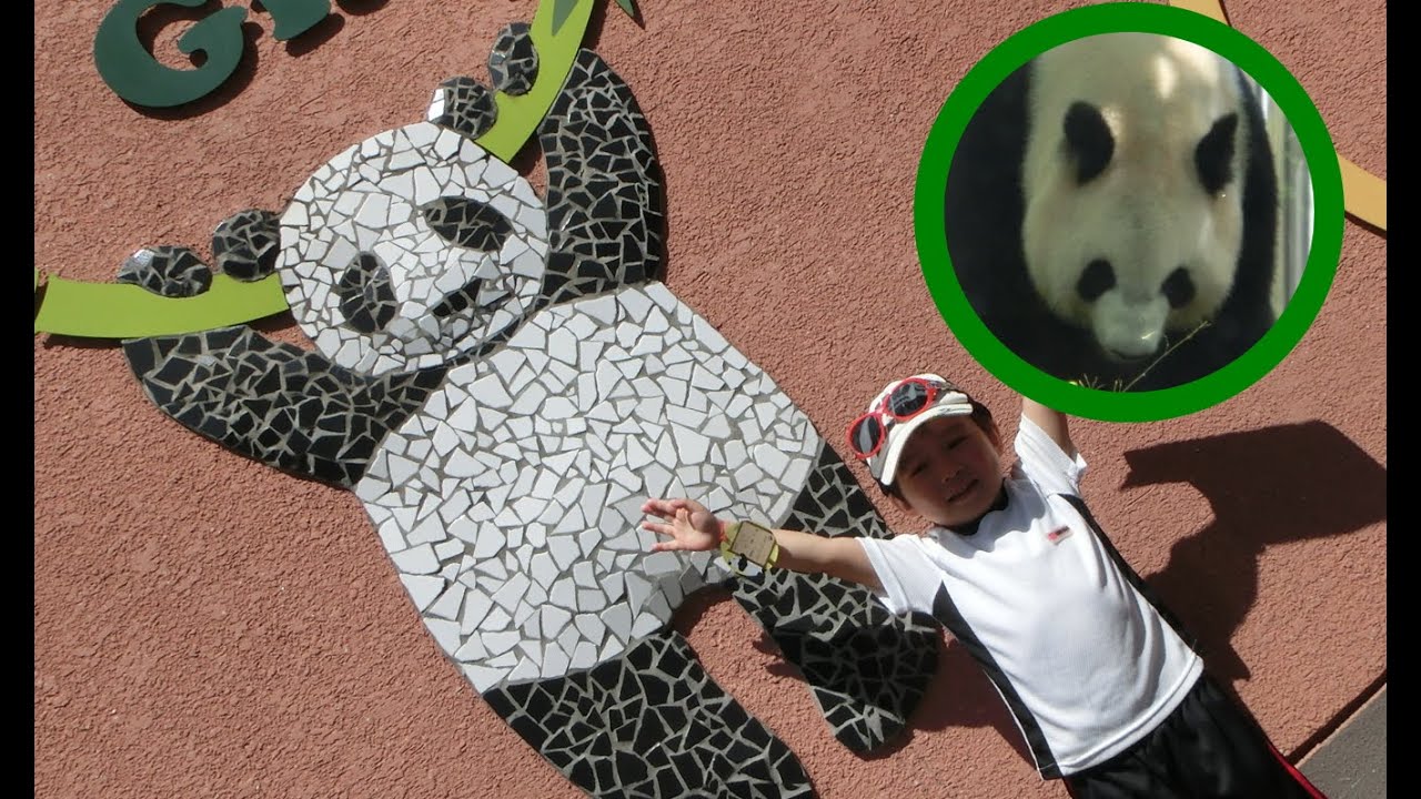 上野動物園　パンダ ゾウさん ホッキョクグマ レッサーパンダ コビトカバ いろんな動物に会いました(*^ ^*)　ゆうとん 4歳